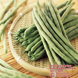 宏鴻農產品集團 以專業配送引領有機蔬菜新風尚