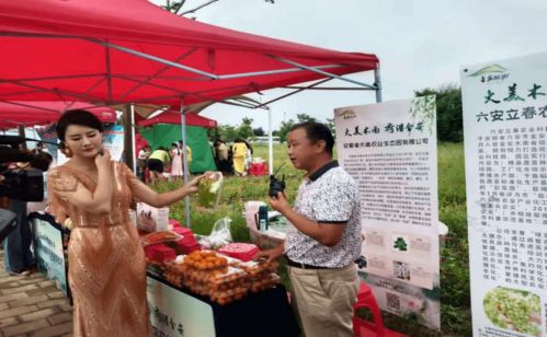 六安市金安區(qū)第六屆荷花旅游文化節(jié)開幕 西商木南公司特色蔬菜類農(nóng)產(chǎn)品大放異彩受到廣泛好評